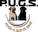 Donate in Memory of a Pug or Other Individual